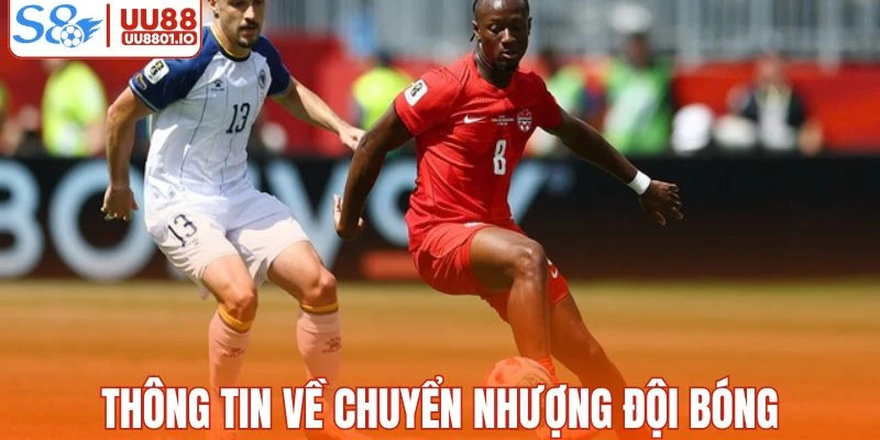 Thông tin chuyển nhượng được cập nhật trên hệ thống